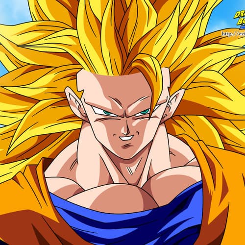 @goku